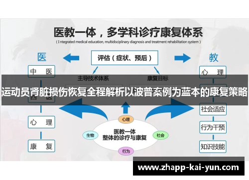 运动员肾脏损伤恢复全程解析以波普案例为蓝本的康复策略 运动员肾脏损伤恢复全程解析以波普案例为蓝本的康复策略