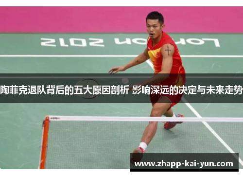 陶菲克退队背后的五大原因剖析 影响深远的决定与未来走势