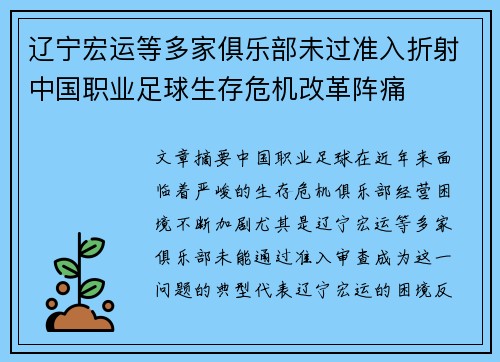 辽宁宏运等多家俱乐部未过准入折射中国职业足球生存危机改革阵痛